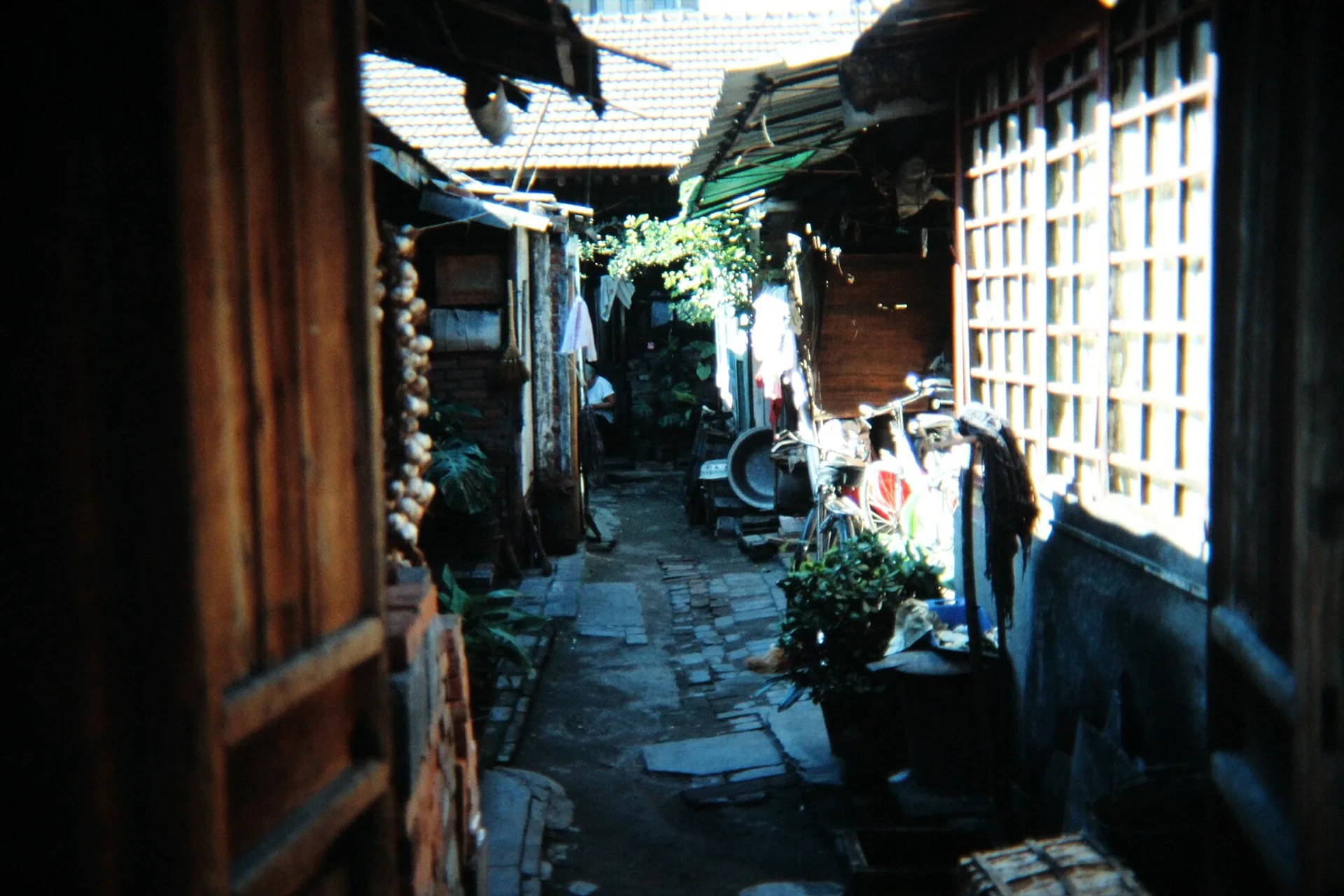胡同深处